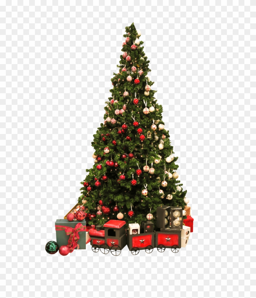 Medium Size Of Christmas Tree Clipart