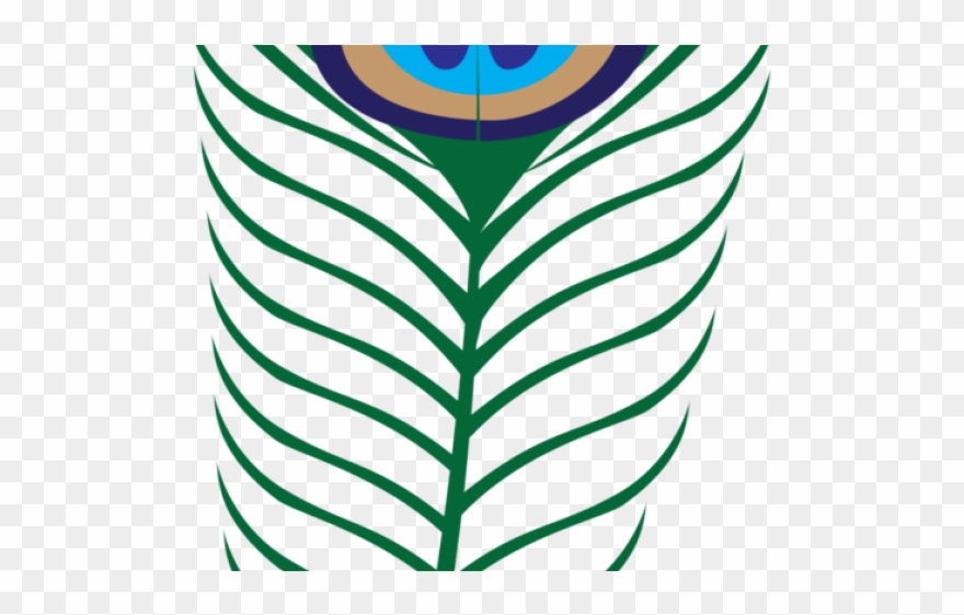 Peacock Clipart Green Peacock - Clip Art - Png Download