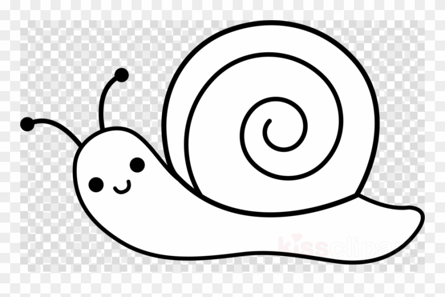 Snail Cartoon Black And White Clipart Gastropods Snail - Snail Cartoon Black And White - Png Download