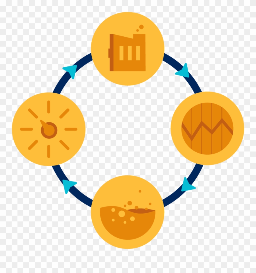 Plant Life Cycle Results - Project Clipart