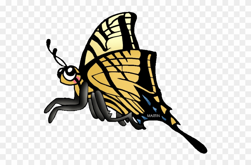 Two Tailed Swallowtail Butterfly Clipart