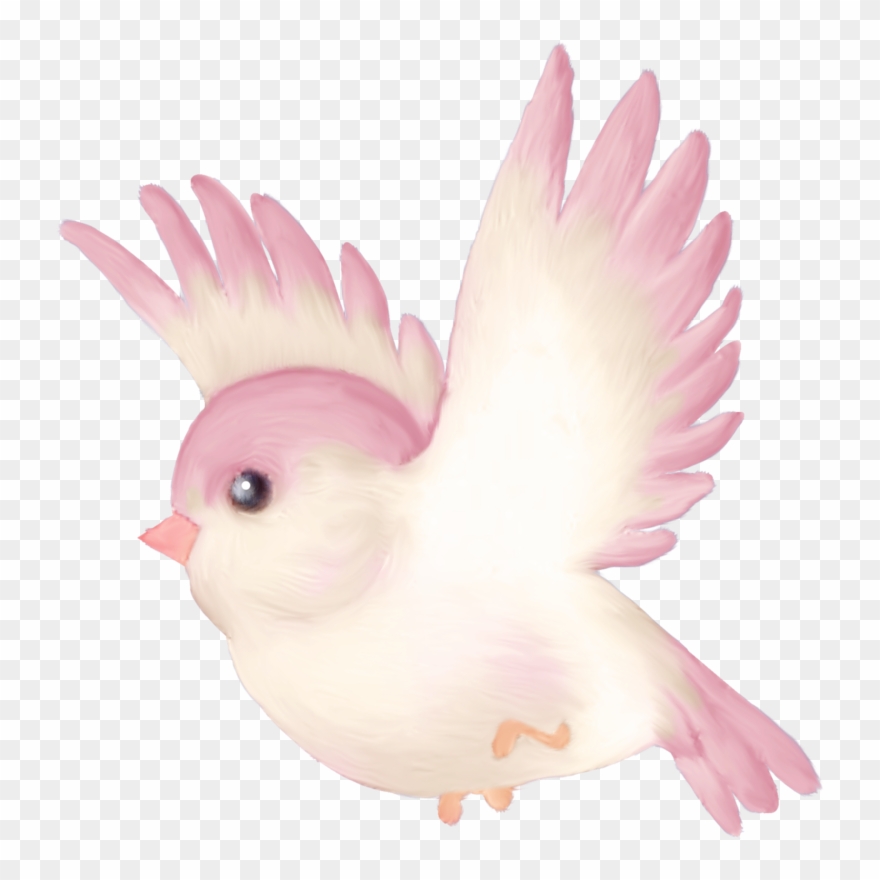 Birds ‿✿⁀°••○ More - Birds Pink Png Clipart