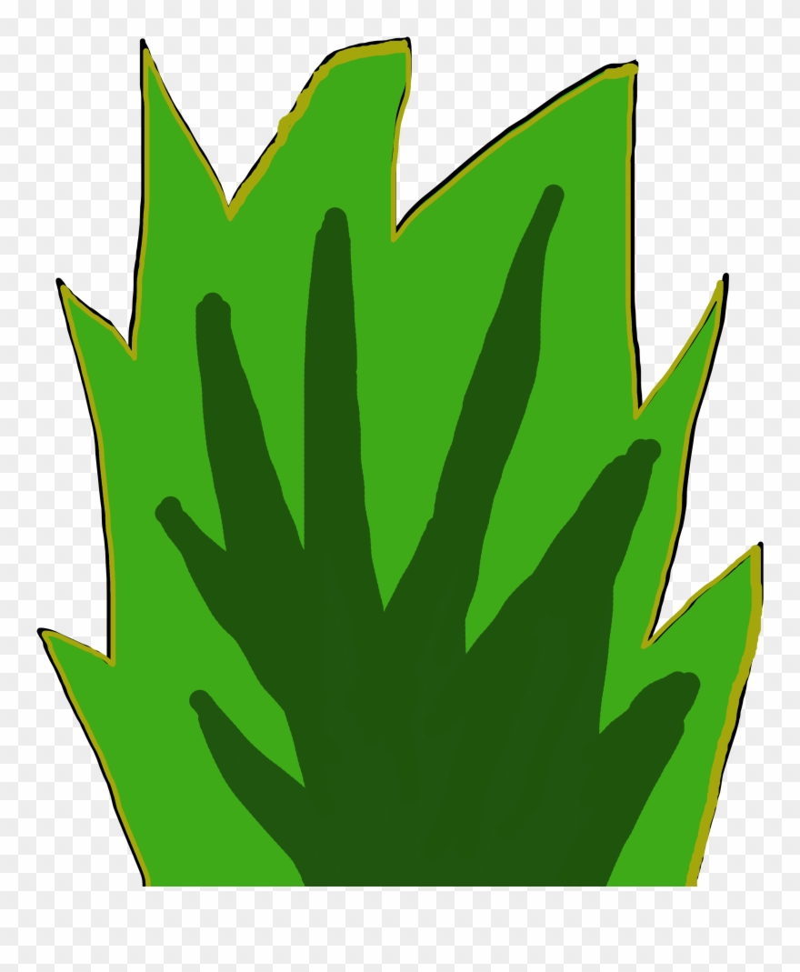download-bush-clipart-1935338-pinclipart