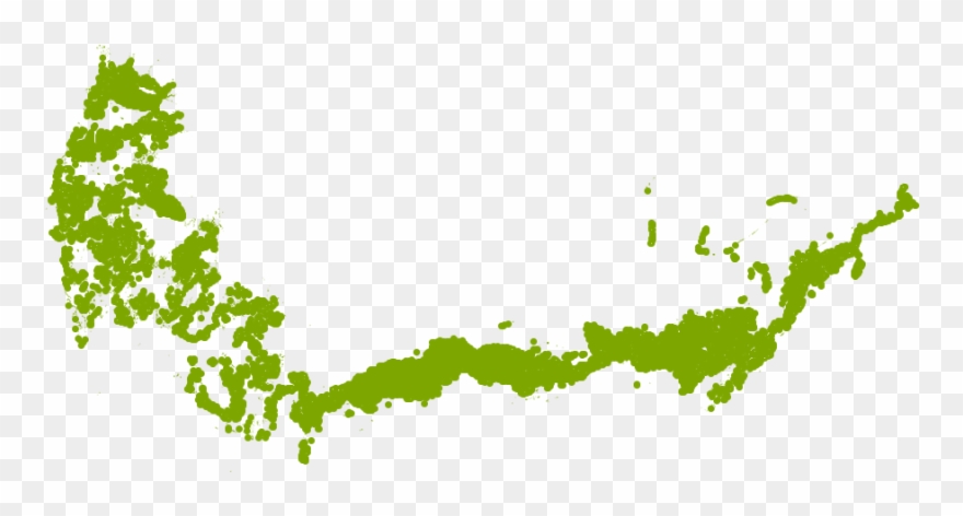 Mexican Feather Grass Png Png Freeuse Download Clipart