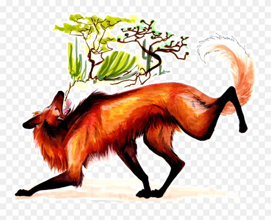The Maned Wolf Is A Canid From South America That Lives - Maned Wolf Clipart