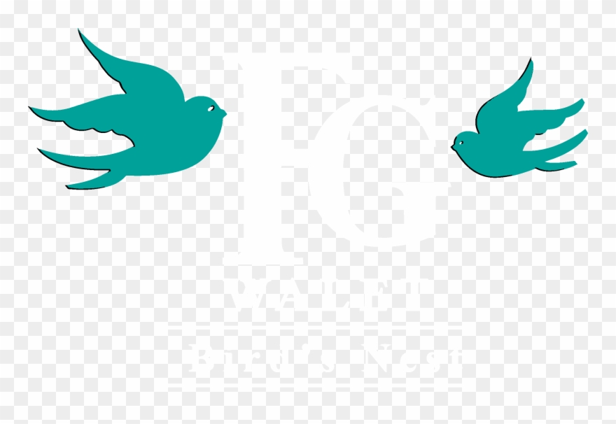 Fg Walet Bird's Nest - Bird Clipart