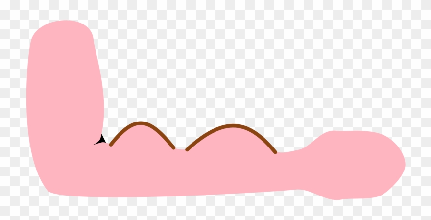 Medium Image Clipart