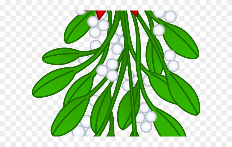 Mistletoe Cliparts - Transparent Mistletoe Clip Art - Png Download