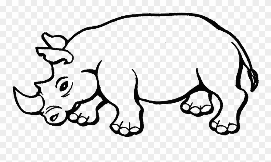 Animales Salvajes Para Colorear Clipart