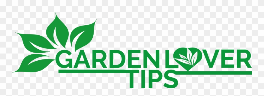 Garden Hose Clip Art - Png Download (#1936297) - PinClipart