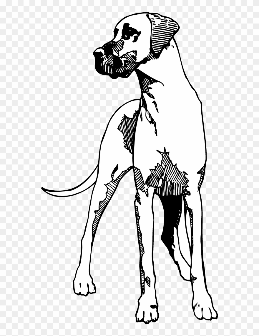 Great Dane Clipart