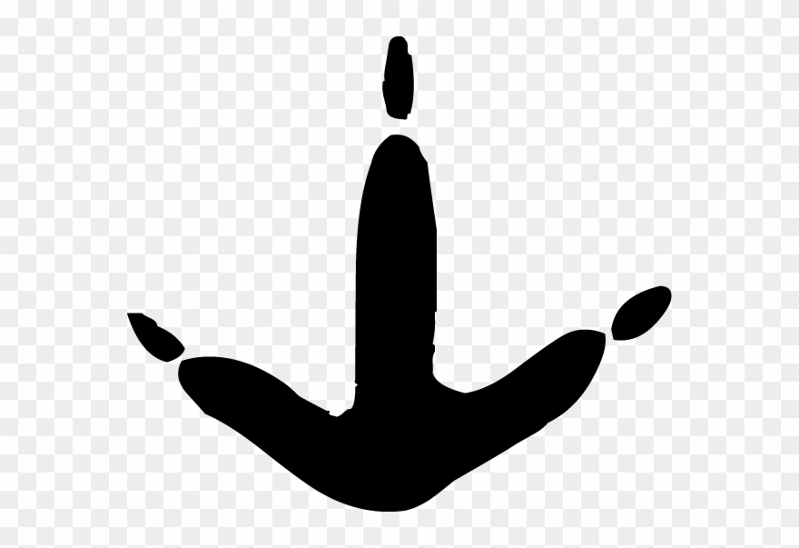 Pheasant Track Clipart