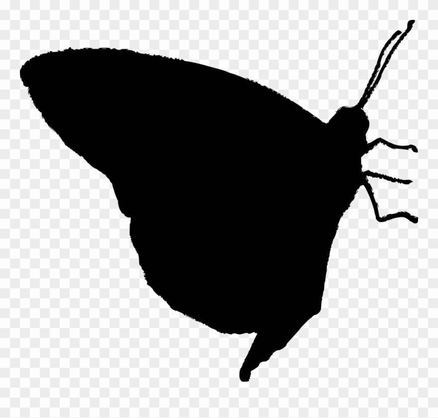 Vector Graphics,free Pictures, Free Photos, Clipart