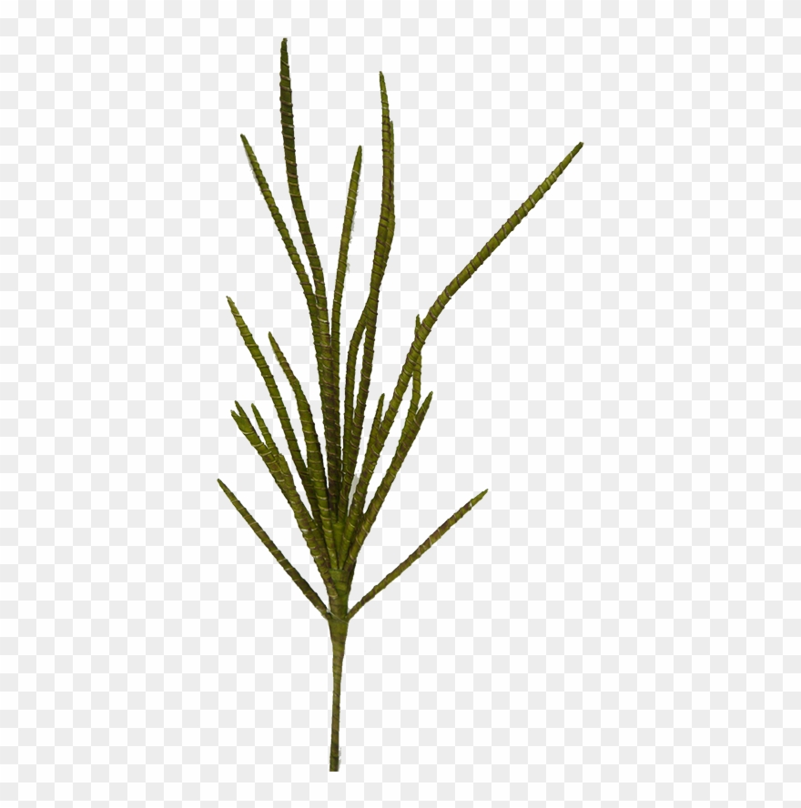 Green Willow Bamboo Bush - Bamboo Clipart