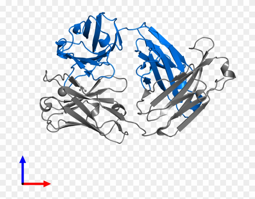 <div Class='caption-body'>pdb Entry 4r90 Contains 1 - Illustration Clipart