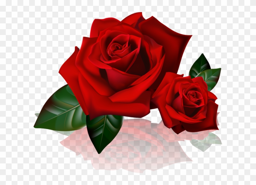 Rose Art, Beautiful Flowers, Red Flowers, Red Roses, - Buongiorno Amore Buon Sabato Clipart