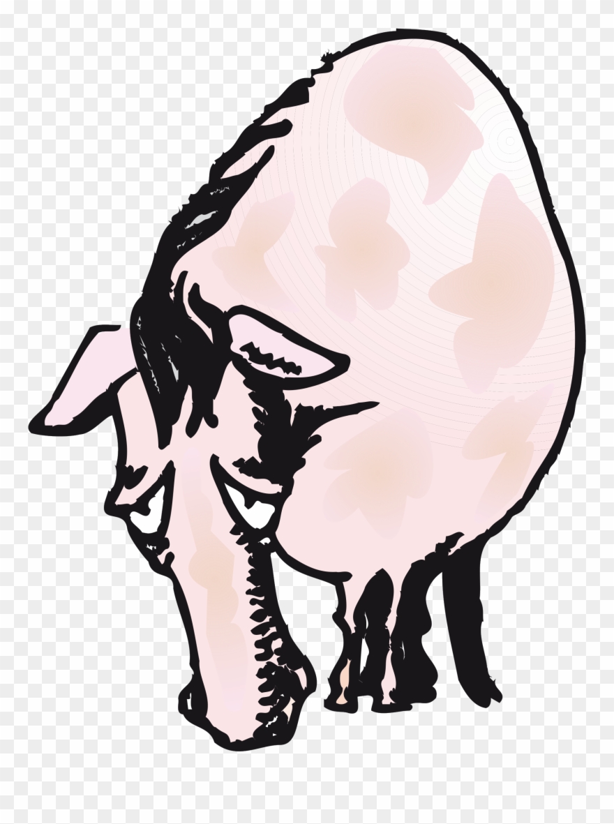 Sloppy Joe - Illustration Clipart