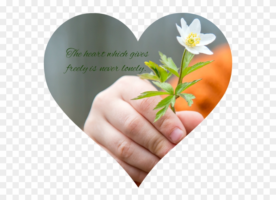 She Suggests So Many Fabulous And Doable Service Programs - Cheer Up The Lonely Clipart