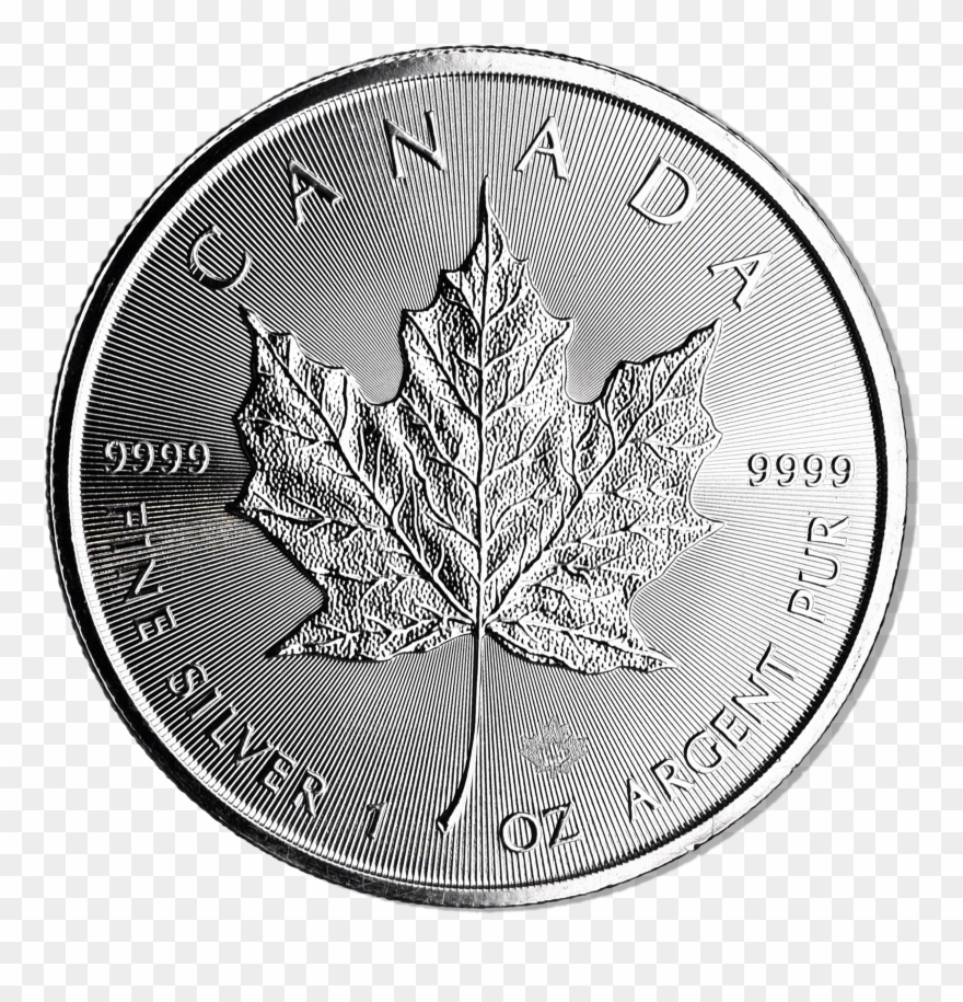 Canadian Silver Maple Leaf Clipart