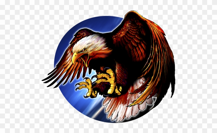 Patriotic Fabric Eagle Fabric Custom Panel - Accipitridae Clipart