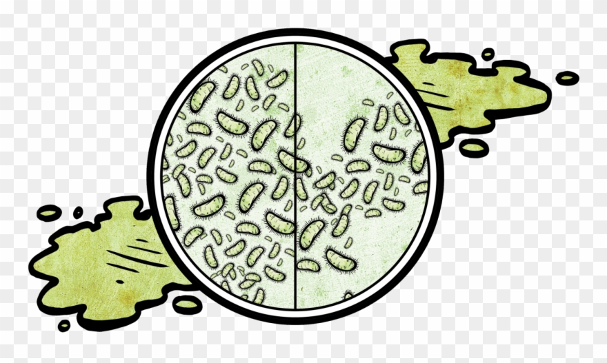 #2 Within One Week, A Mop Can Grow A Bacterial Population Clipart