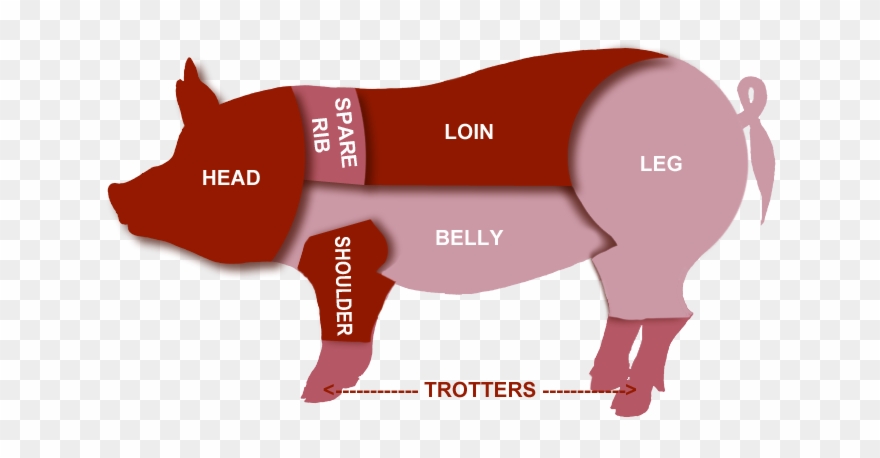 Meat Cuts Pork Clipart