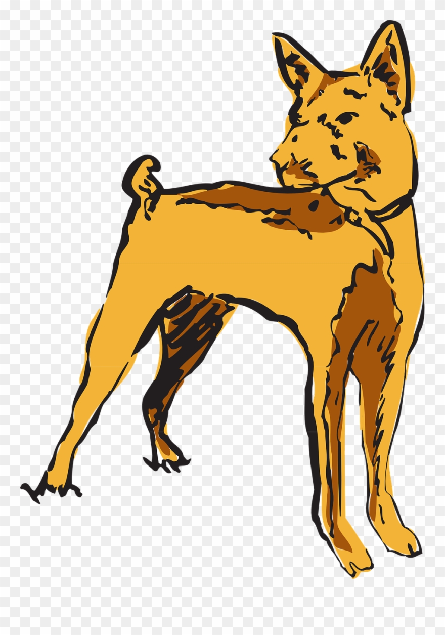 Dog Watching Pet Standing Transparent Image - Dog Clipart