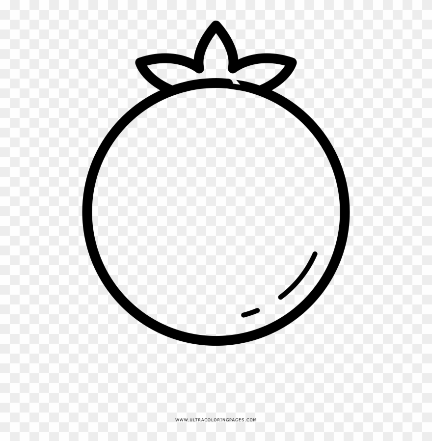 Coloring Pages Tomato Page Imposing Plant Frog Mr - Circle Clipart
