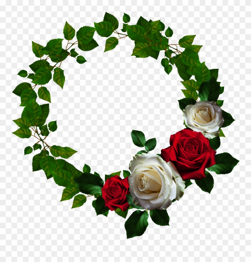 Picture Frame Flower Clip Art - Round Rose Frame Png Transparent Png