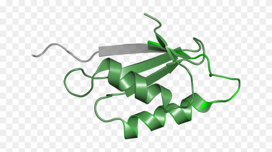 Protein Data Bank Clipart