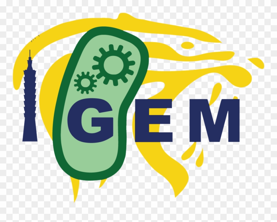 Team - Tas Taipei/safety - 2014hs - - Igem 2018 Clipart