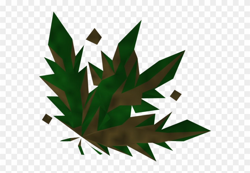 Players Find Grimy Volencia Moss In Rocks At The Karamjan - Runescape Weed Clipart