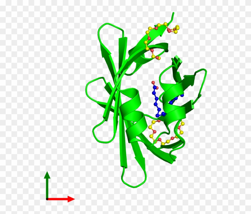 <div Class='caption-body'><ul Class ='image Legend - Graphic Design Clipart