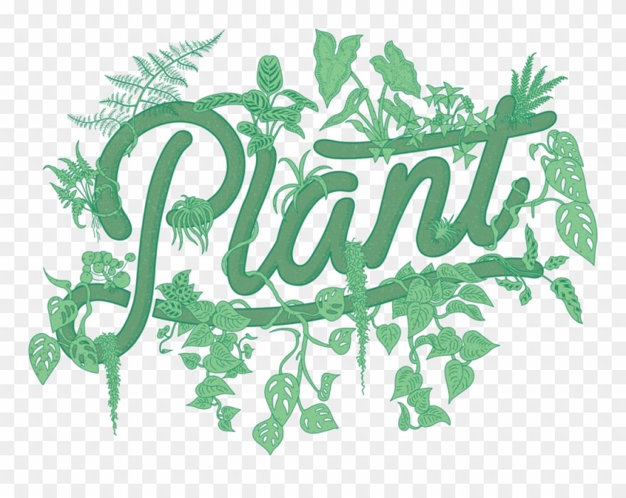 Plant By Packwood Clipart