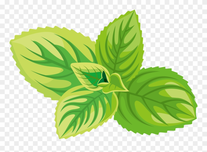 Png Black And White Download Herb Sticker Label Green - Herb Icon Clipart