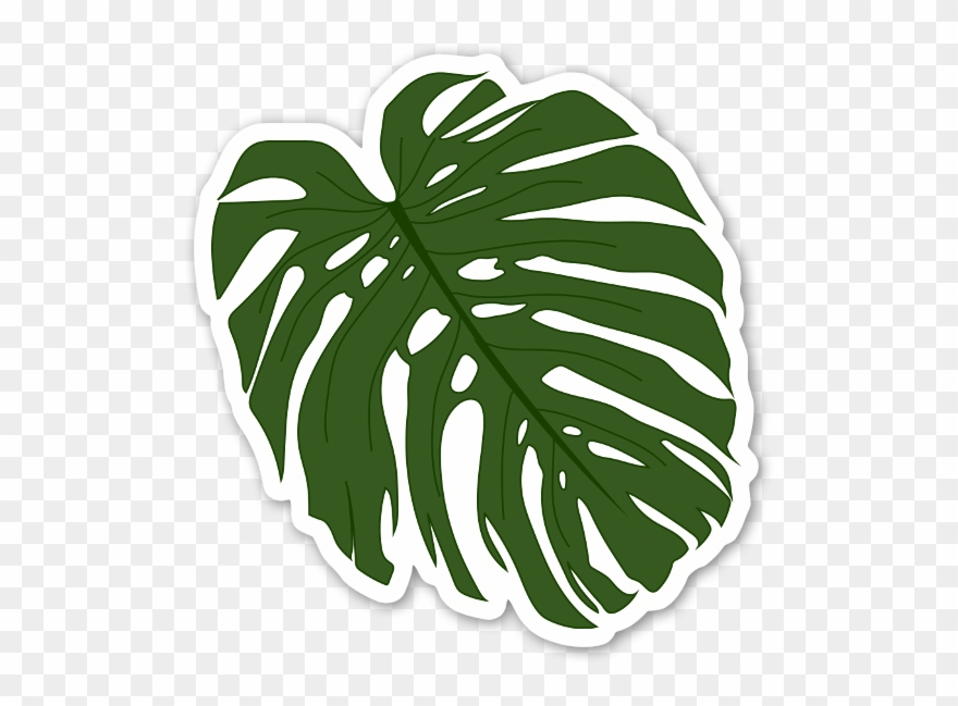 Palm Leaf Sticker - Drawing Clipart