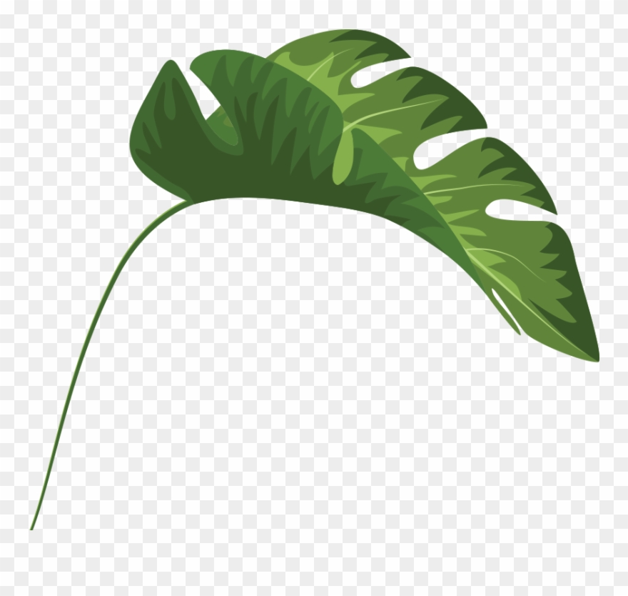 Tropical Leaves Palm Banana Monstera Mugs Clipart
