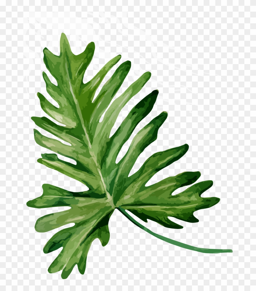 Passion - Bandinist Floppy Bow Headband-tropical Mix Clipart