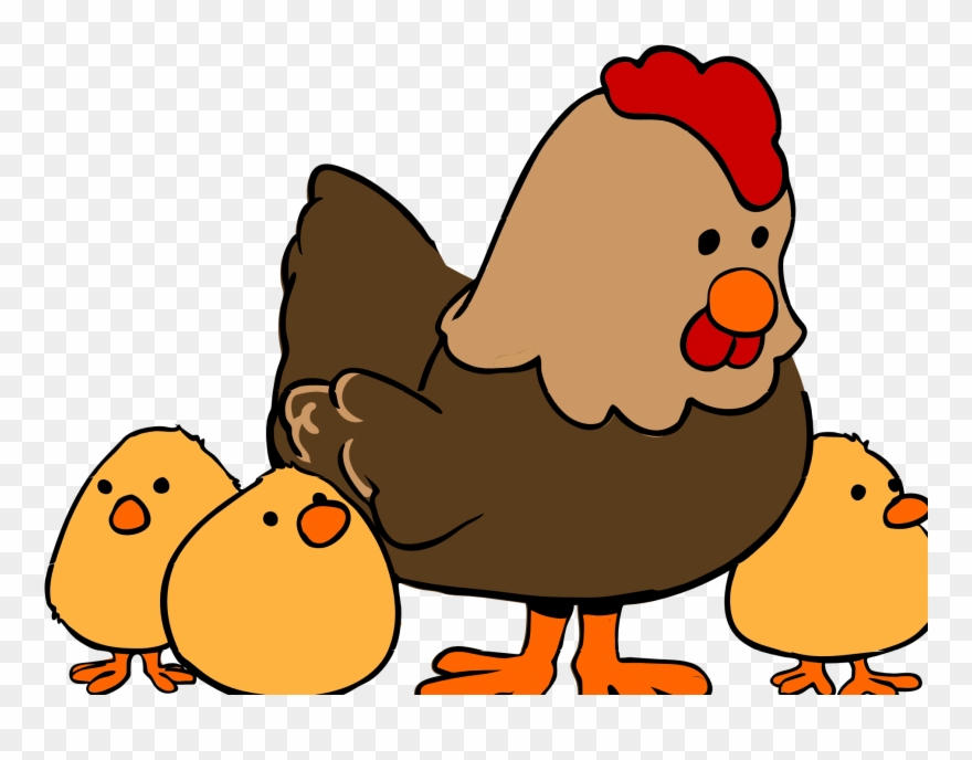 Hen And Chicks Cartoon 4 Der 34 Hen And Chicks Cartoon - Mother Hen Greeting Cards Clipart