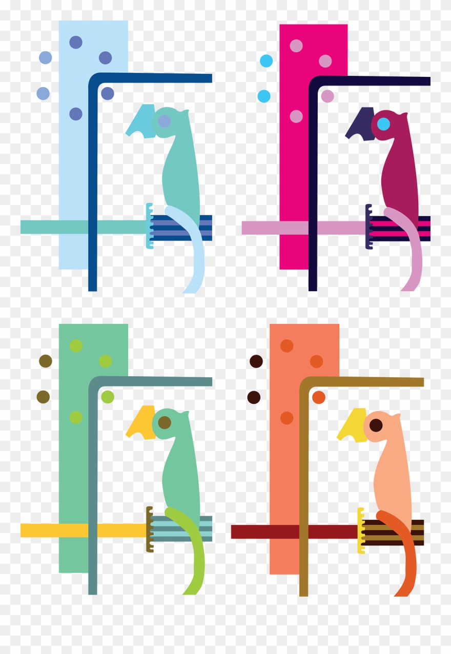 Parrots, Work In Progress Clipart