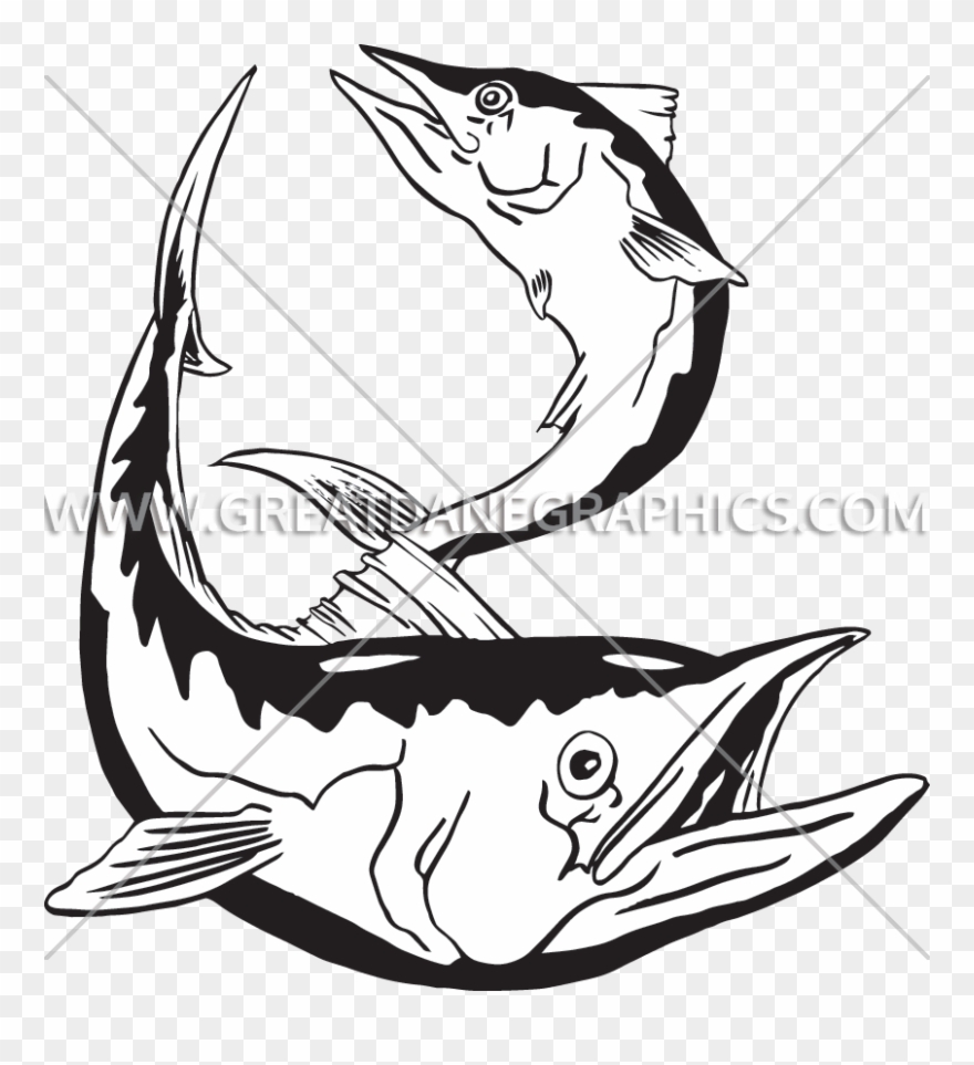 King Mackerel - King Mackerel Clipart - Png Download