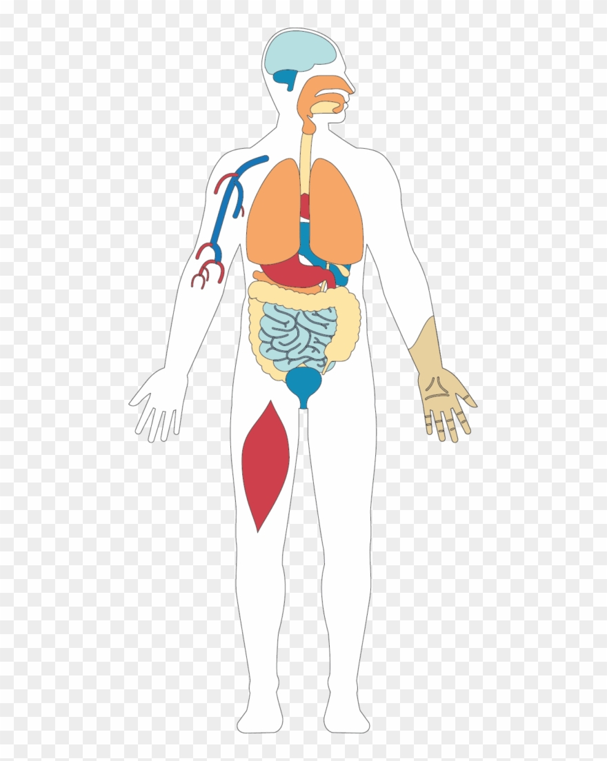 Address Department Of Clinical Biochemistry & Pharmacology, Clipart