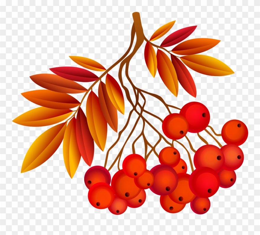 Autumn Frame Clipart - Png Download
