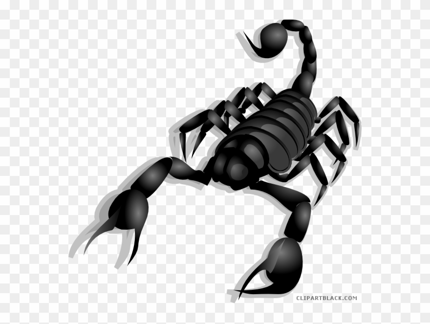 Clip Royalty Free Stock Page Of Clipartblack Com Animal - Home Remedies For Scorpions Bites - Png Download