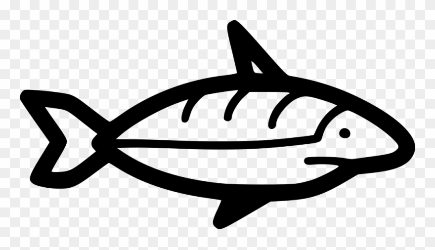 Shark Ii Comments - Animal Clipart
