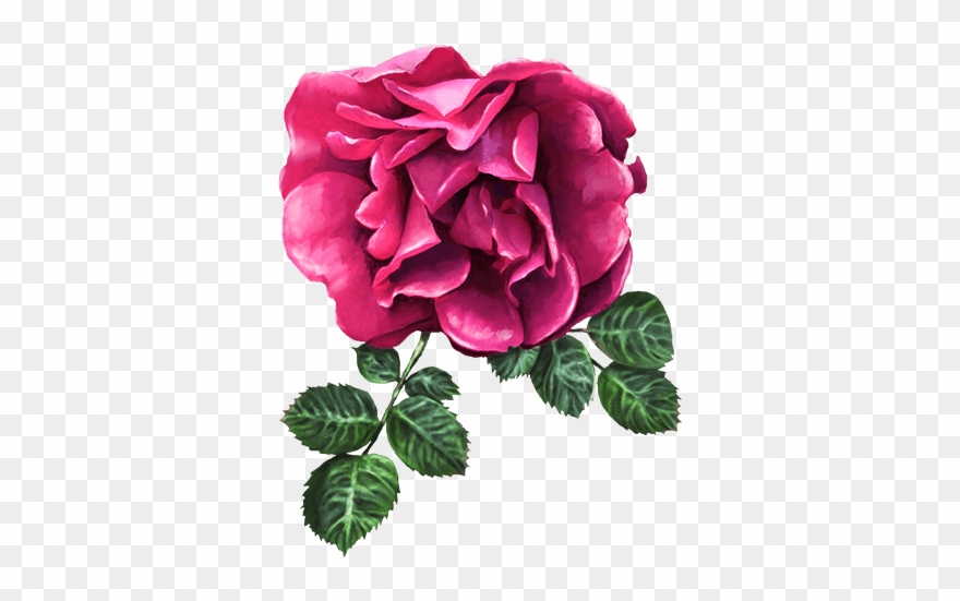 Roses And Flowers - Flower Clipart