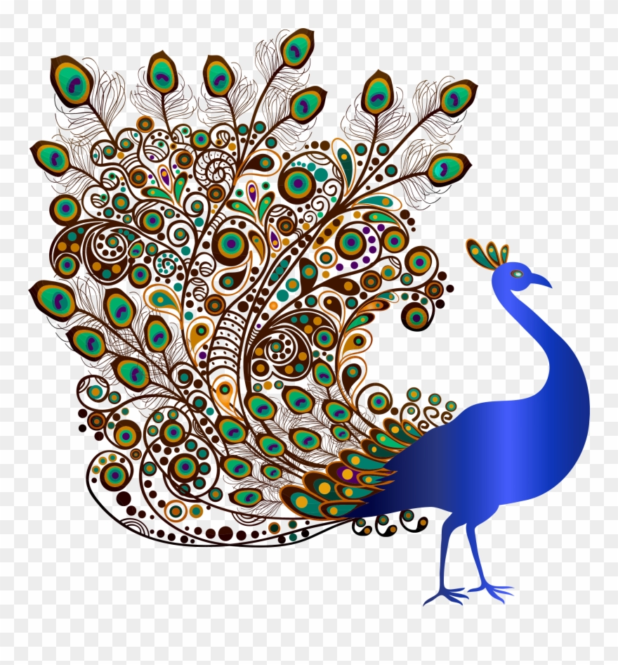 Big Image - Pavo Real De Perfil Clipart