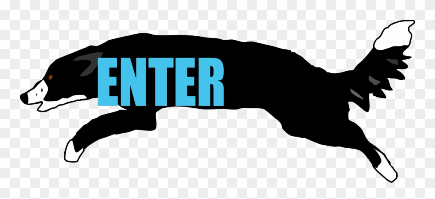 Agility Q Dog Training - Stand Up Clipart