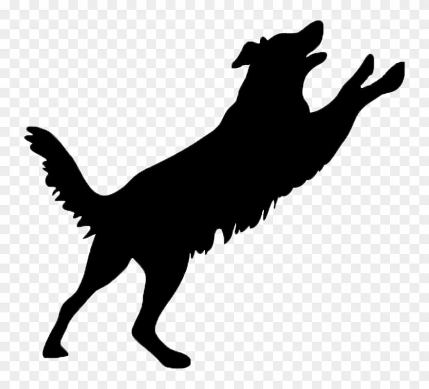 Contact Us For Any Questions Contact Webmaster - Намалювати Собаку Що Стрибає Clipart