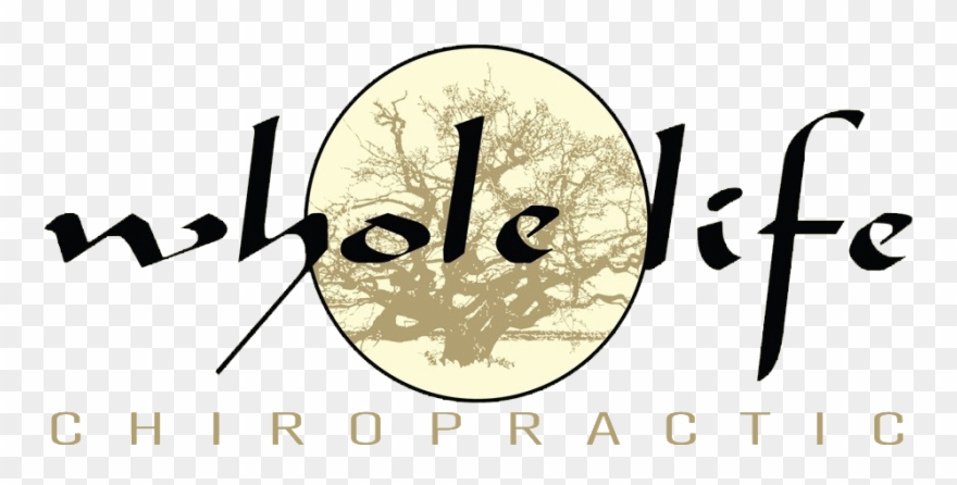 Vertebral Column Clipart